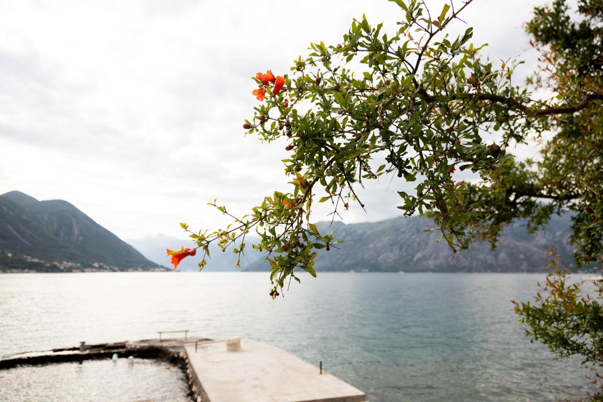 Apartments Djurovic Kotor Bagian luar foto